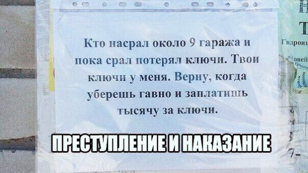 file_79619678