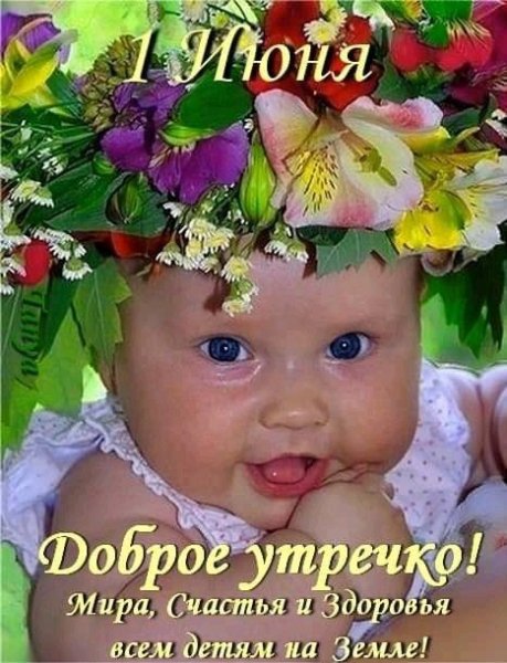 IMG-20240601-WA0008