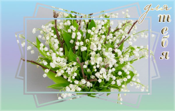 file_72647906