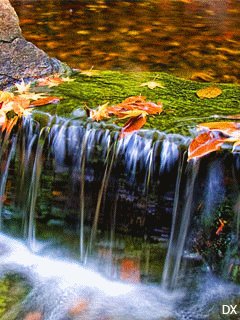 file_59212594