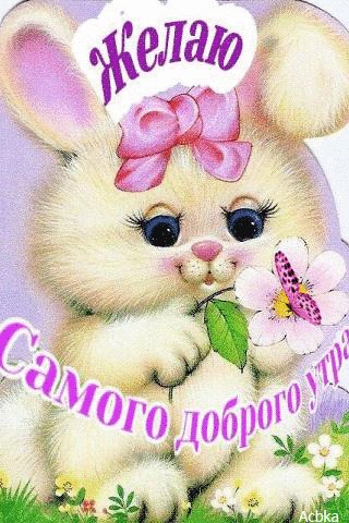 file_81636141