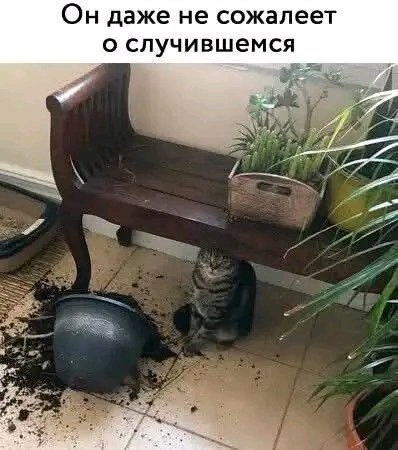 file_103237053