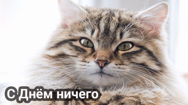 file_95579203