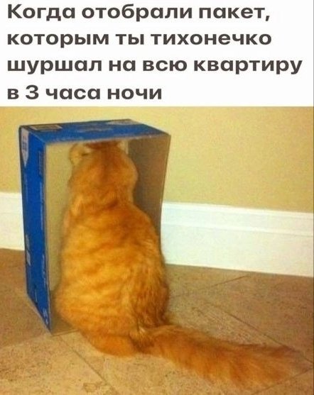 file_96574758