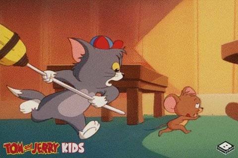 giphy-downsized-large