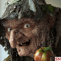 тик 120x120