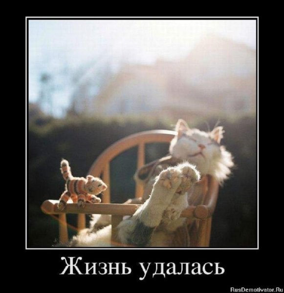 Жизнь удалась