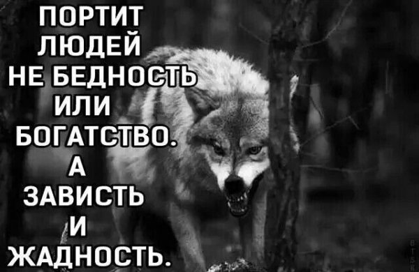IMG 20260123 072651