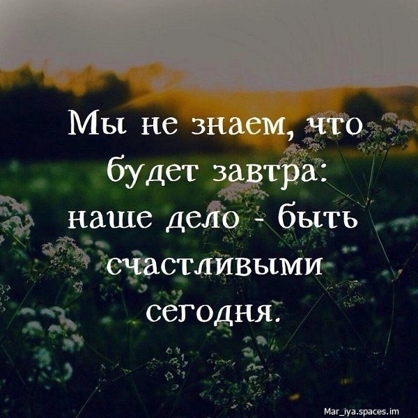 XsPeMsGP2YY-
