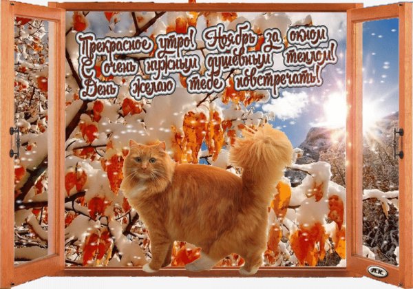 file_75594083