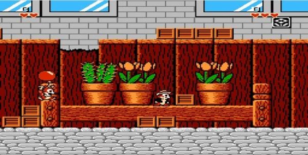 Chip 39 n Dale U neuyazvimost zhizni pryzhok