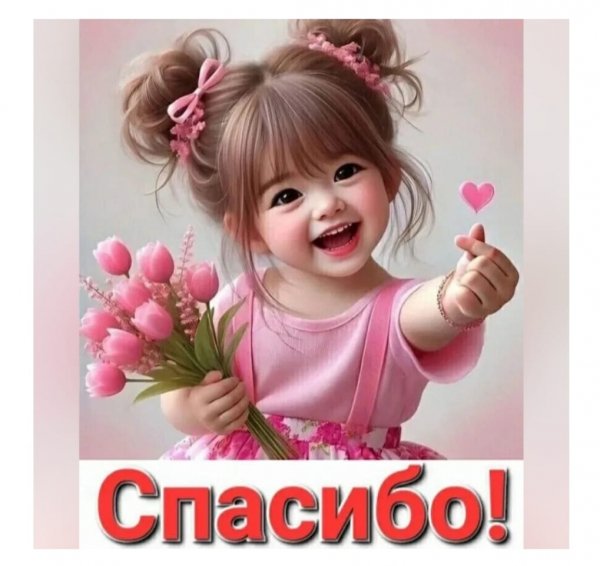IMG-20260709-WA0002