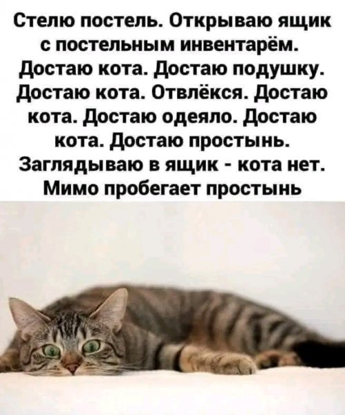 file_103381187