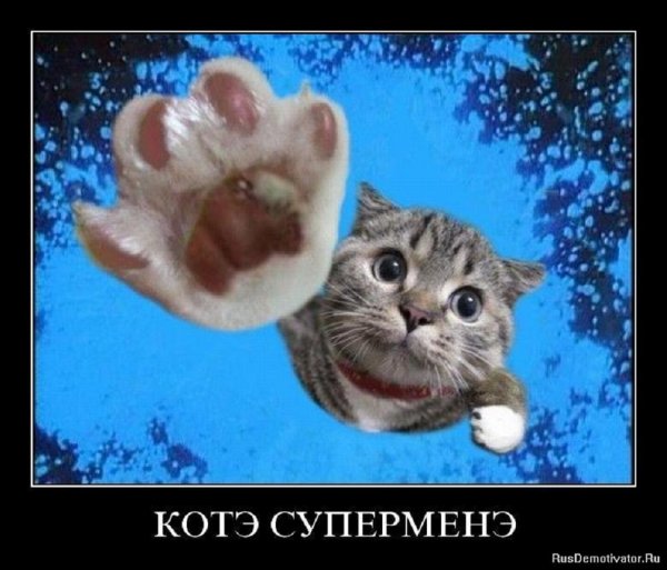 Котэ суперменэ