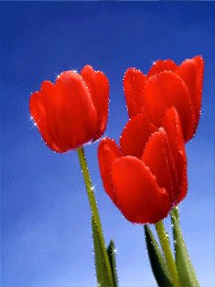 file_46409414