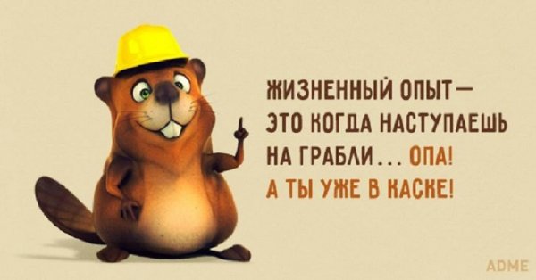 Жизненный опыт