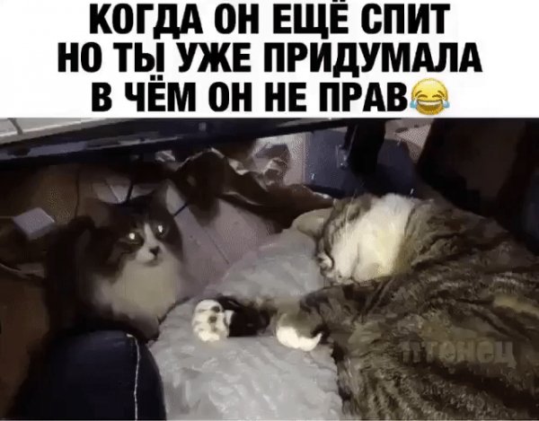 IMG 20230212 230754
