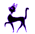 cat242-gif