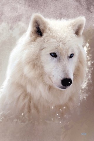 file_52689150