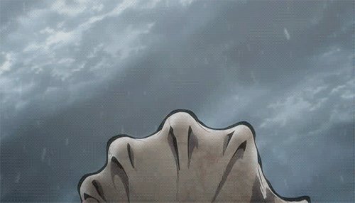 Levi | Леви