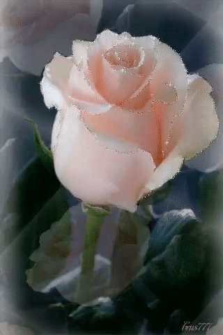 file_72652738