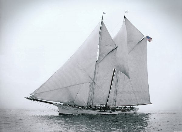 IMG viter59 1892 Gitana