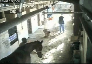 gifs 17