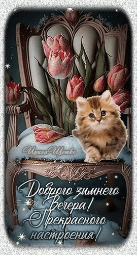 Анимированная открытка добрый вечер