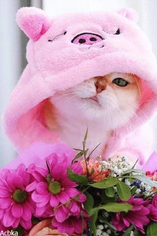 file_79514860