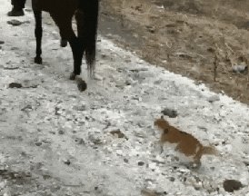 gifs 05