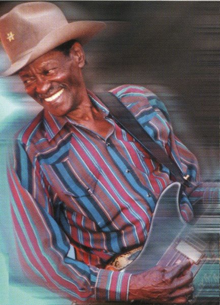 Clarence 'Gatemouth' Brown - Ain't Nobody Here But Us Chicken