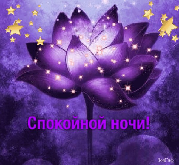 file_77140754