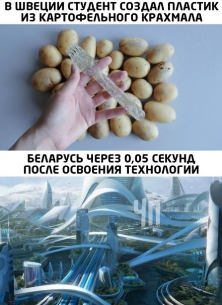 file_81986525