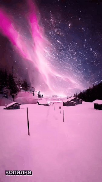 file_95204225