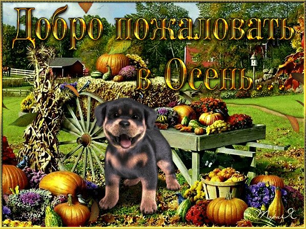 Добро пожаловать в Осень