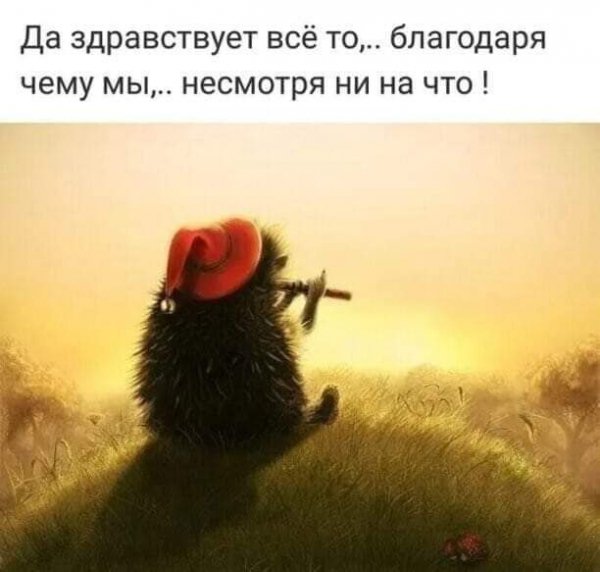 FB IMG 1730747749184
