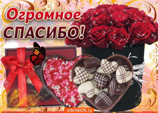IMG 20190911 183004