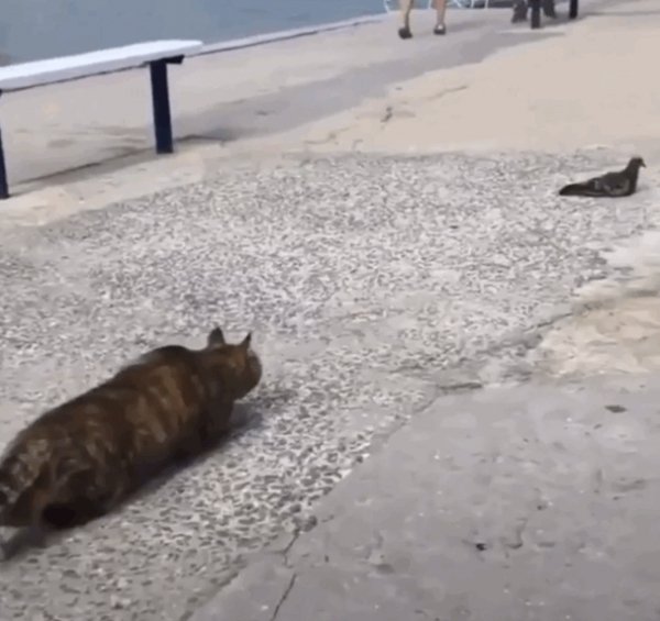 Котовский