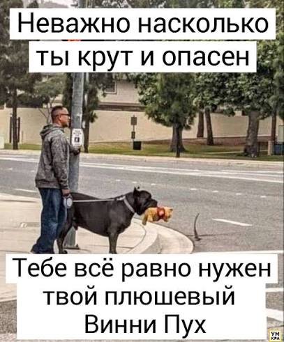 Images (15)