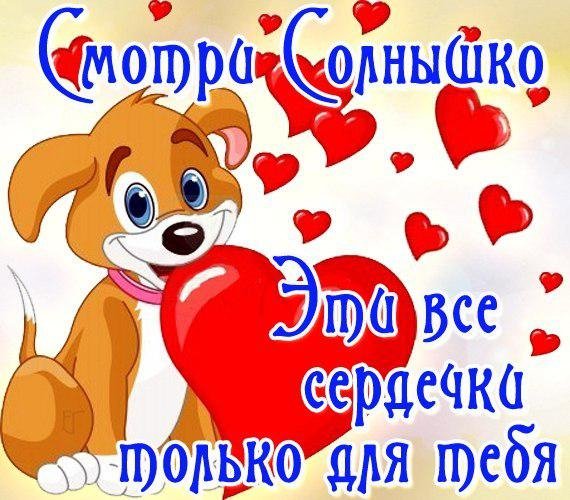 g rqyoKK2qo