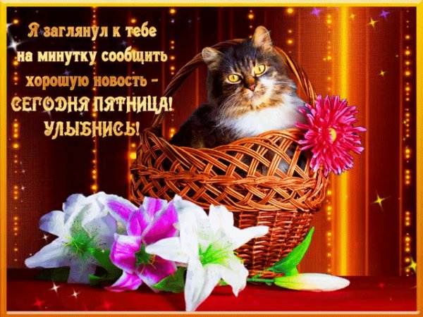 file_75889218