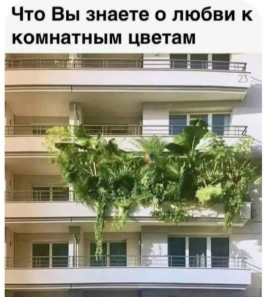 FB IMG 1759513464368