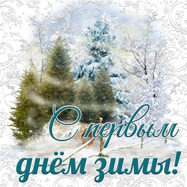 file_88981510