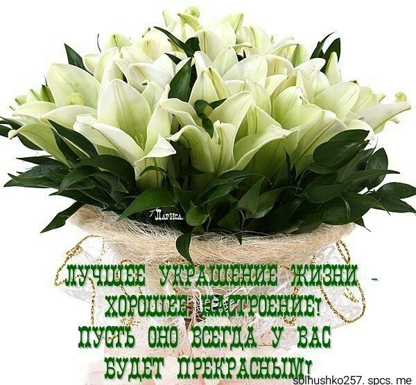 IMG 20180723 232049