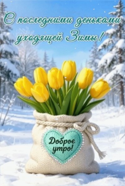 IMG 20260226 170526