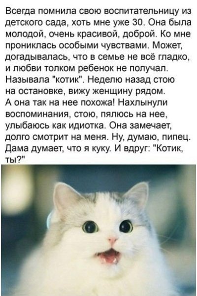 file_101571747