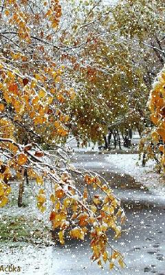 file_59194409