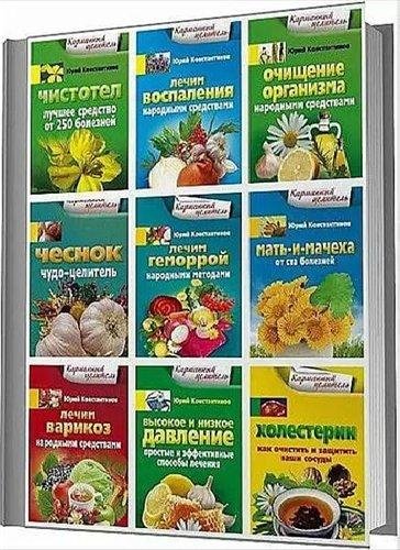 Карманный целитель (FB2)