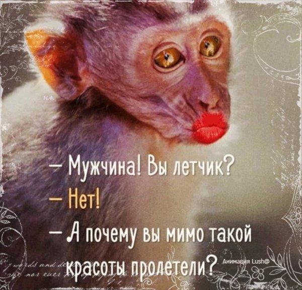 orig (22)