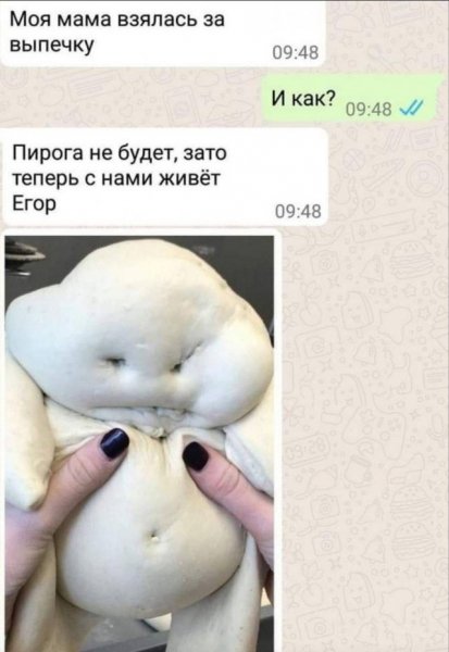 file_98416818